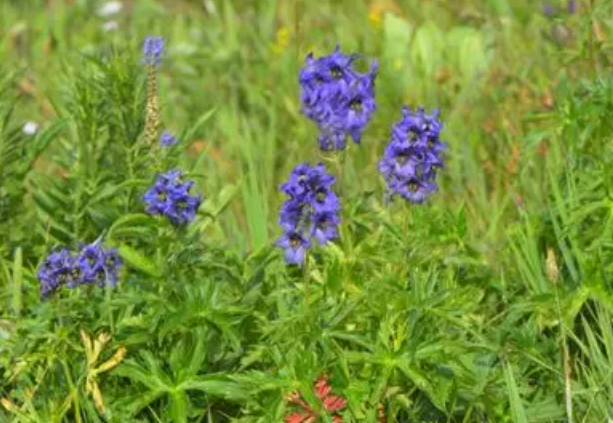 教育将在学生教师业界专家共同形成的圈层中自然生发恣意生长 教育将在学生教师业界专家共同形成的圈层中自然生发恣意生长